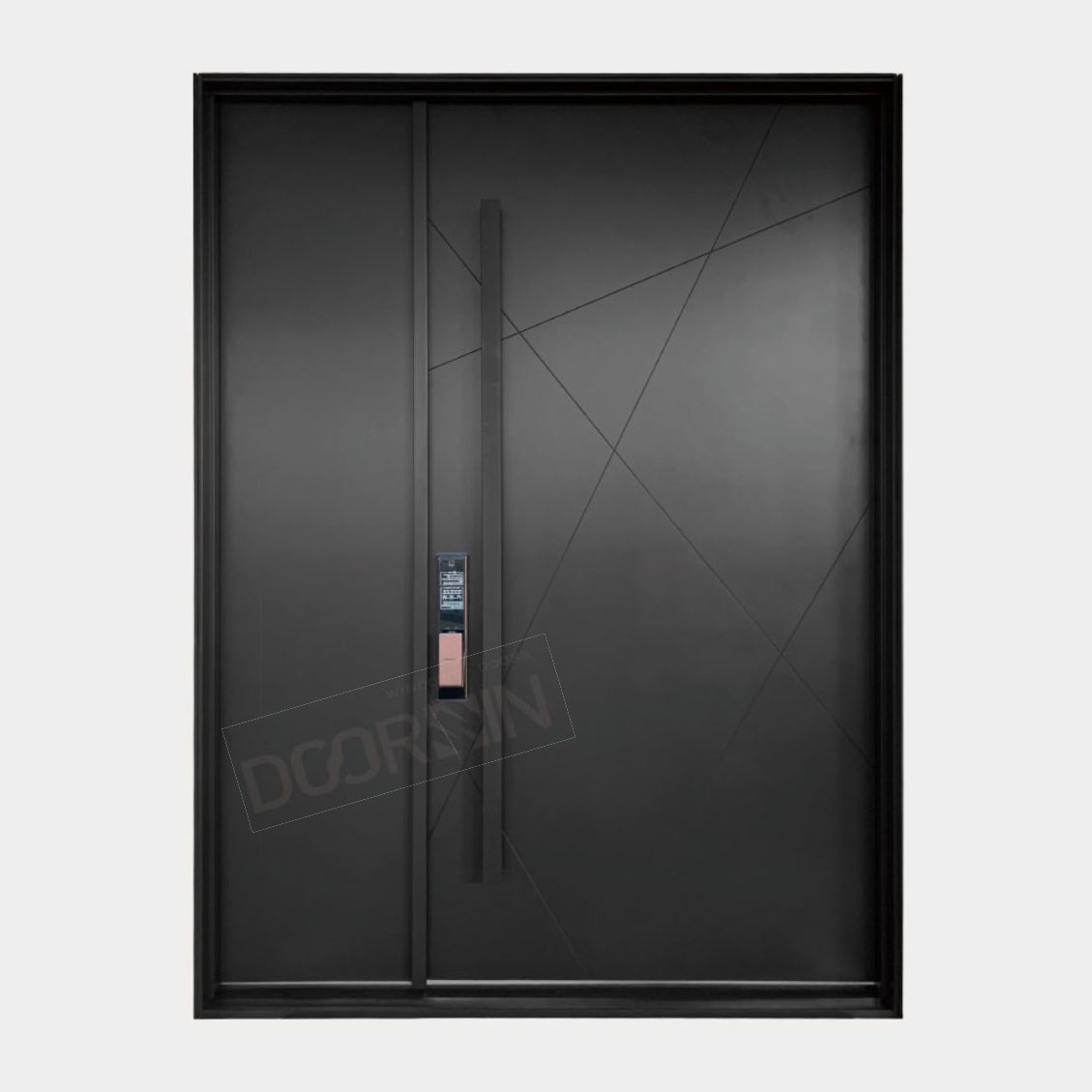 Metal Entry Pivot Door