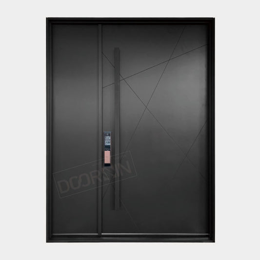 Metal Entry Pivot Door