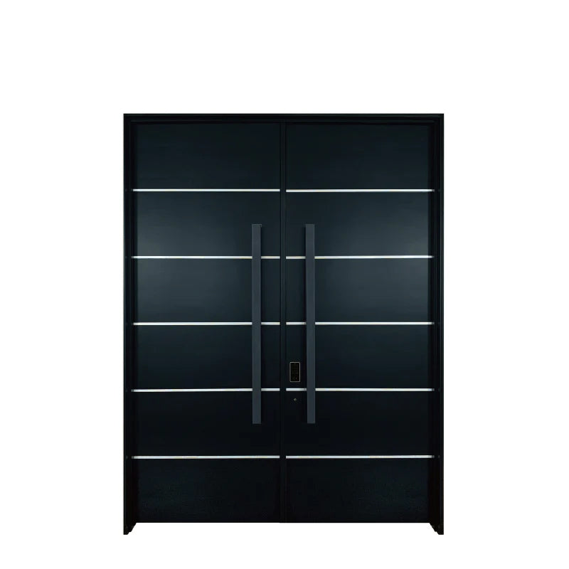 Double Villa Aluminum Entry Door